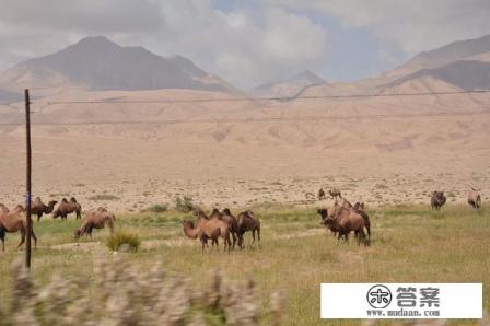 旅游的意义和好处？