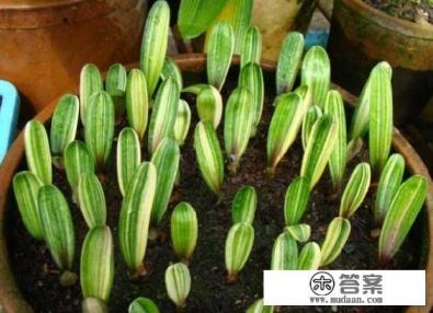 血脂高的症状？