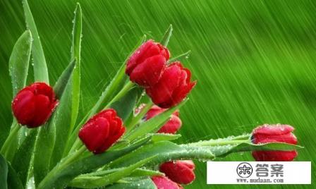 血脂高的症状？