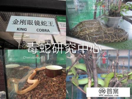 泰国跟团旅游至少多少钱，详细点？