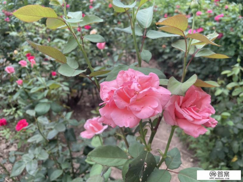 山西周边游旅游景点？