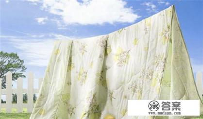 怎么彻底消灭跳蚤 怎么彻底消灭跳蚤