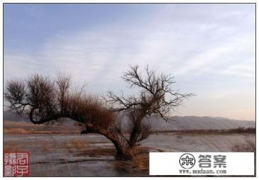 当一个人伤心难过的时候该怎么办