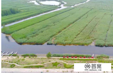 天府新区航空旅游职业学院多少亩