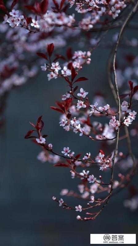 当代大学生应该具备怎样的心理素质