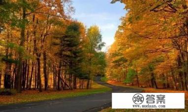 哪里好玩景点排名前十名