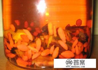 公认最好的保健酒