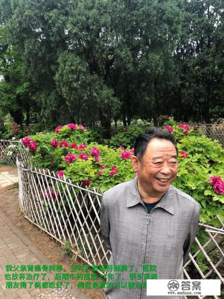 骨转移癌治疗的方法有什么啊