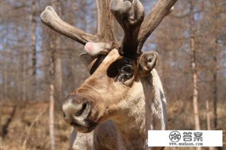 旅行摄影应该带什么镜头