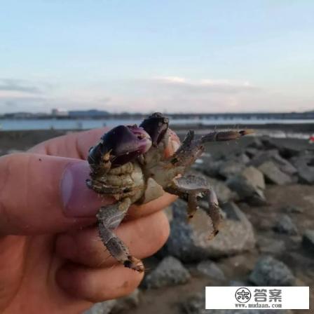 各旅游公司规哪部门管理 各旅游公司规哪部门管理