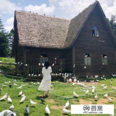 重庆武隆县有什么旅游的景点？门票多少钱