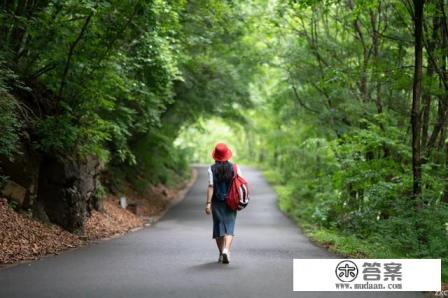 旅游用什么方式最好 旅游用什么方式最好