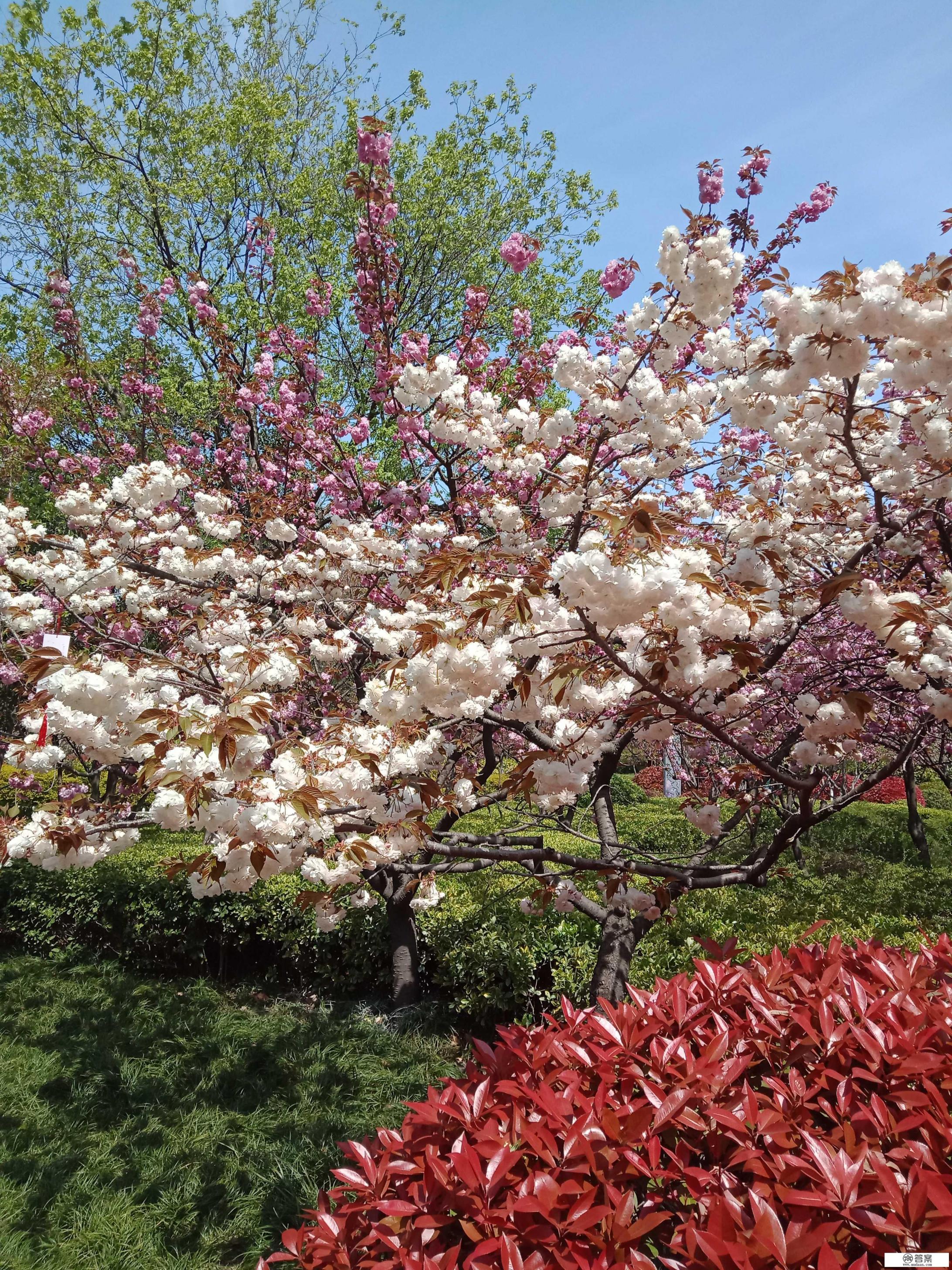 徐州三月份哪里好玩