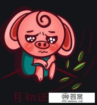 信用卡每月消费只还最低还款额是否影响信用额度