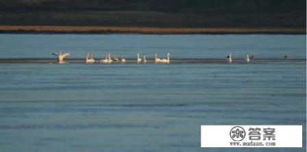 11月份辽宁省内旅游景点哪里好一点