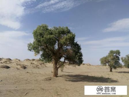 私人定制旅行哪个最好