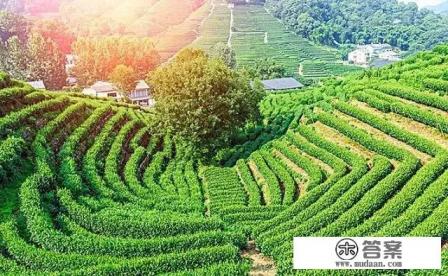 大学生如何形成正确的消费观