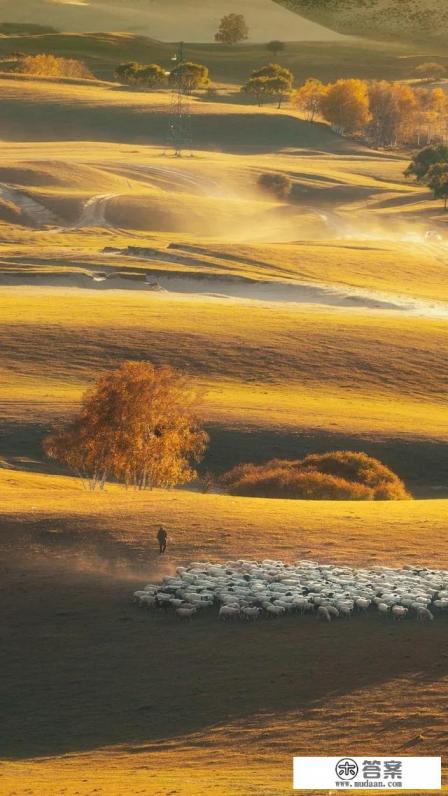 大学生如何形成正确的消费观