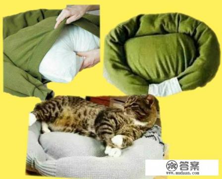 丢我心里了怎么回复