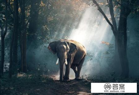 带孩子去泰国哪里玩好