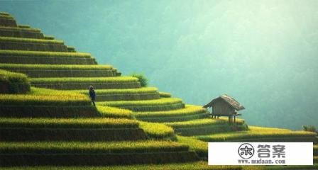 带孩子去泰国哪里玩好