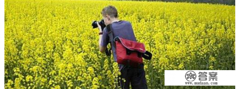 旅游赚钱的项目有吗 旅游赚钱的项目有吗