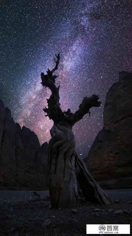 中国旅游宣传片讲的什么