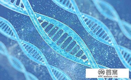 小孩为什么长白发 小孩为什么长白发