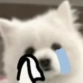 你拿我放的幼儿游戏规则 你拿我放的幼儿游戏规则