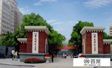 重庆师范大学专业代码查询