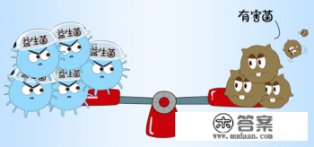 合生元益生菌怎么吃才正确