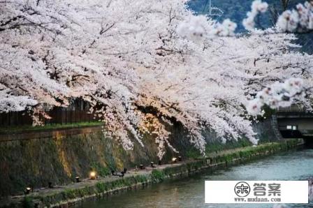 京都水上乐园的景点