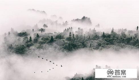 什么叫负离子 什么叫负离子