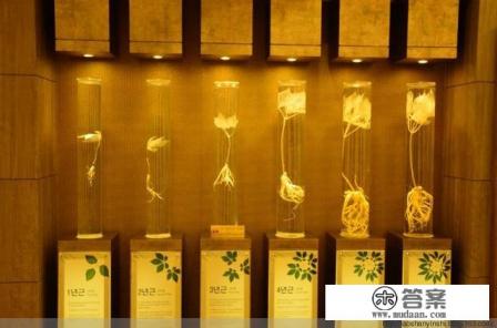 去韩国旅游买什么比较划算