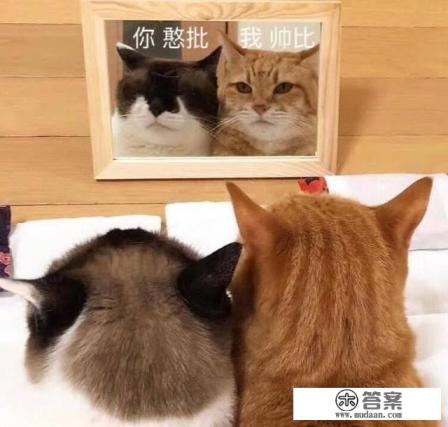 为什么我玩第一人称头晕