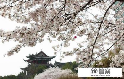 成都哪个大学风景比较好 成都哪个大学风景比较好