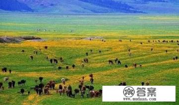 去新疆旅游需要注意哪些事项 去新疆旅游需要注意哪些事项