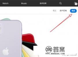 怎么在苹果官网上买11