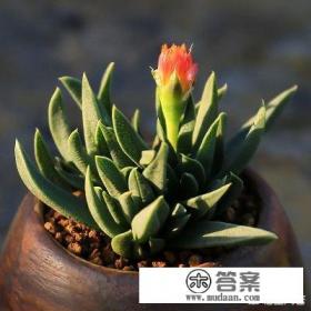 我男朋友爱玩手游，我应该送什么礼物给他呢