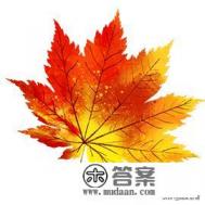 如何度过有意义的大学四年