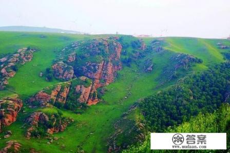 内蒙黄花沟景区的黄花是什么花