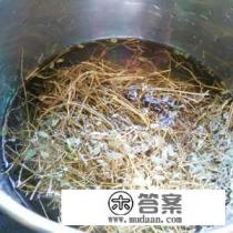 怎样分辨五叶神的真假