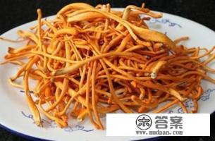 虫草花多少钱一斤