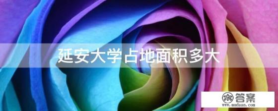 延安大学占地面积多大