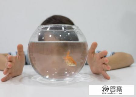 自闭症的症状一般都有哪些