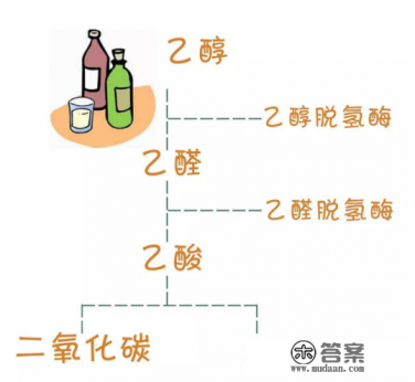 酒加头孢一起吃会怎么样