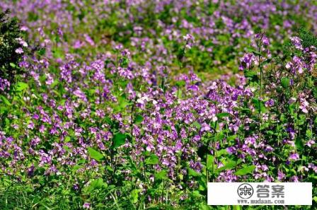 浙江省地理位置特点