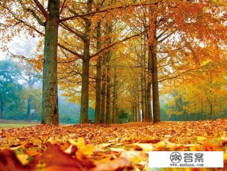 浙江省地理位置特点