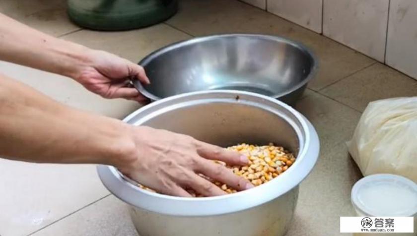 土鳖虫是一种什么昆虫