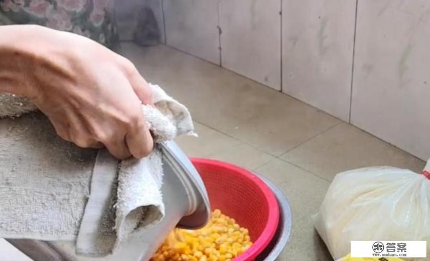 土鳖虫是一种什么昆虫